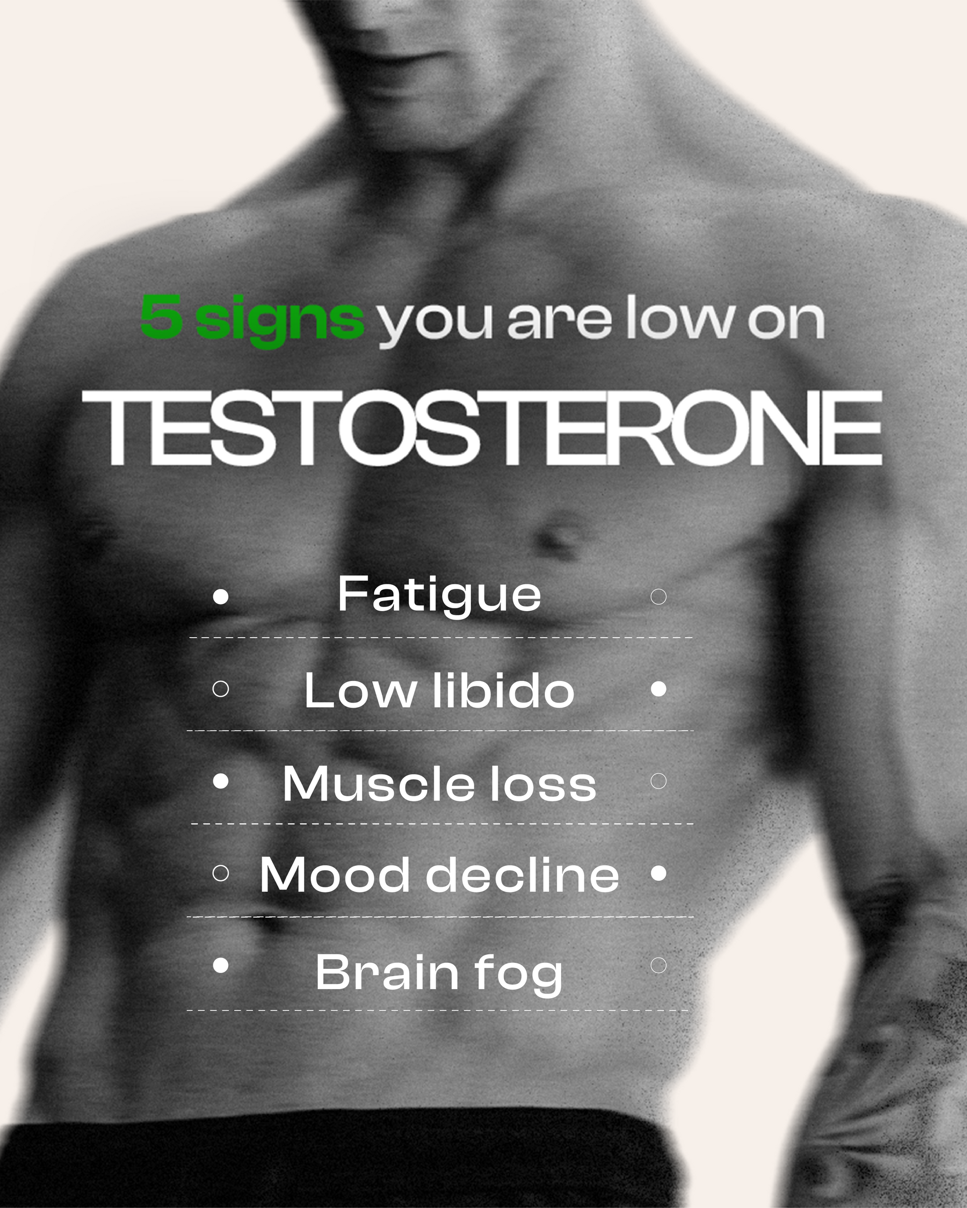 Be Alpha  Testosterone Booster